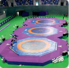 Octagon Wrestling Mats