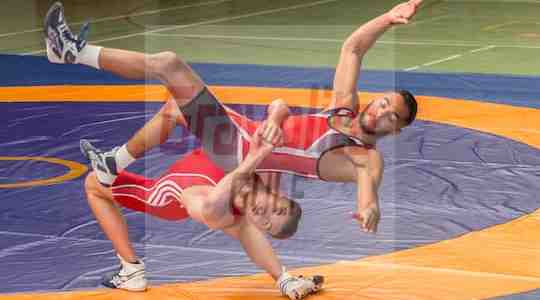 Wrestling Mats Dubai