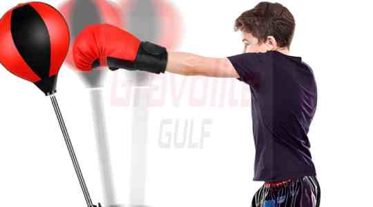 Fitness & Combat Equipment Collection