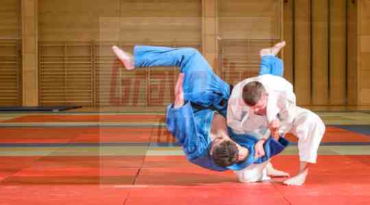 Martial Arts Mats Supplier